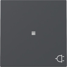 Gira 329128 Wippe Kontrollfür + Symbol Steckdose System 55 Anthrazit