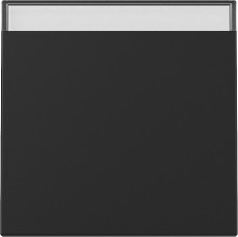 Gira 3299005 Wippe Beschriftungsfeld System 55 Schwarz m