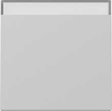 Gira 3299015 Wippe Beschriftungsfeld System 55 Grau m