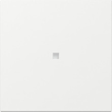 Gira 349003 Wippe gerade Kontrollfür System 55 Reinweiß