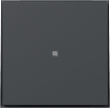 Gira 349067 Wippe gerade Kontrollfür Gira TX_44 Anthrazit