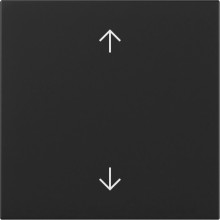 Gira 3616005 Wippe Pfeile System 55 Schwarz m