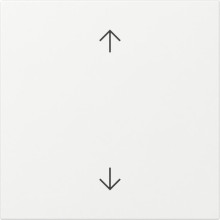 Gira 361603 Wippe Pfeile System 55 Reinweiß