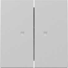 Gira 3631015 Wippe 2-fach Kontrollfür System 55 Grau m