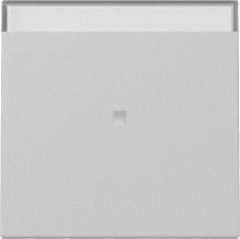 Gira 3670015 Wippe Kontrollfür + Beschriftungsfeld System 55 Grau m