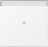 Gira 367027 Wippe Kontrollfür + Beschriftungsfeld System 55 Reinweiß m