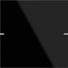 Gira 502105 Wippenset 1-fach Tastsensensor 4.95 G Schwarz