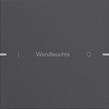 Gira 5031928 Wippenset 1-fach individuell Tastsensensor 4.95 Alum.Anthrazit(lack.)