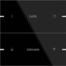 Gira 503205 Wippenset 2-fach individuell Tastsensensor 4.95 G Schwarz