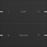 Gira 5032905 Wippenset 2-fach individuell Tastsensensor 4.95 Alum.Schwarz m(lack.)