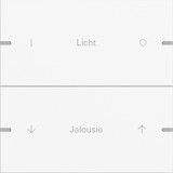 Gira 5032927 Wippenset 2-fach individuell Tastsensensor 4.95 Alum.Reinweiß m(lack.)