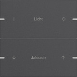 Gira 5032928 Wippenset 2-fach individuell Tastsensensor 4.95 Alum.Anthrazit(lack.)