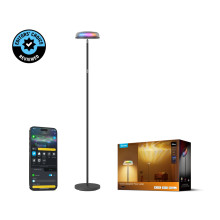 Govee Smarte LED Stehlampe Up&Down, RGBWW +RGBIC nach oben, und Weißlicht nach Unten  H60B0311