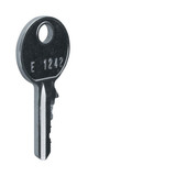 Hager FZ596 Ersatzschlüssel, univers, für Schließung FZ597N, Schließ-Nr. 1242E