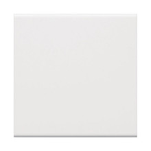 Hager GW1B9016 Wippe 1-fach für Schalter/Taster für Rahmenblende 55 halogenfrei verkehrsweiß