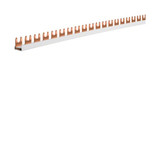 Hager KDN163B Phasenschiene 1 polig mit Gabelanschluss 10mm² 63A 57 Module