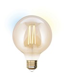 iDual LED Filament Lampe E27 2200-5500 K dimmbar G95 Globe 9W Amber