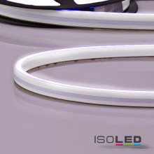 ISOLED LED Neon Flexband Streifen 6512, 24V, 14,4W, IP66, RGB, 140 LED/m, inkl. Montageclips