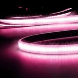 ISOLED LED AQUA CRI9P Linear 48V Flexband Streifen, 8W, IP68, pink, 5 Meter, 240 LED/m