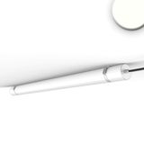 ISOLED LED Linearleuchte HP 150cm IP69K, 50W, 4000K