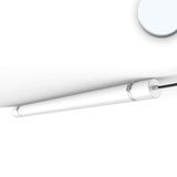 ISOLED LED Linearleuchte HP 150cm IP69K, 50W, 5000K