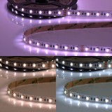 ISOLED LED SIL RGB+WW+KW Flexband Streifen, 24V, 19W, IP20, 5in1 Chip, 60 LED/m