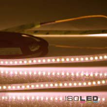 ISOLED LED CRI Food Flexband Streifen Bread, 24V, 14,4W, IP54 Nano beschichtet, 130 LED/m