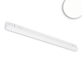 Isoled Track48 Linearleuchte 60cm weiß, 20W, 120°, 48V DC, 4000K, CRI90, prismatisch, Line+, DALI dimmbar 116740