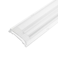 Isoled Einschubcover 25° Linse asymmetrisch für 3-Phasen Linearleuchte prismatisch, 120cm 116814