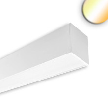 Isoled LINKLINE50 LED Aufbau/Hängeleuchte, 60cm, 15W, UGR<19 2H/2H, weiß, 3000/4000K, DALI dimmbar 117064