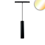 Isoled Track48 Hängeleuchte Pipe schwarz, 12W, 36°, UGR<19, 48V DC, 1800-4000K, CRI90, DALI DT8 117232