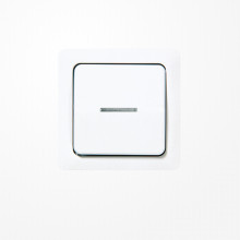 Jung 5561KO5WW Wippe mit Lichtleiter, Duroplast, ST 550, alpinweiß