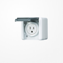 Jung 821-15USW Steckdose, US-Norm NEMA 15 A 125 V ~, WG 800