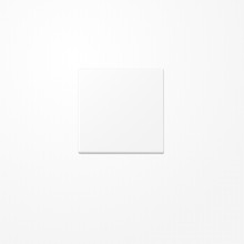 Jung A101BFWWM Wippe für Taster 1fach, Thermoplast lackiert, F10, Serie A, schneeweiß matt