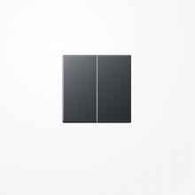 Jung A1702BFANM LB-Management Taster 2fach, Thermoplast lackiert, Serie A, anthrazit matt