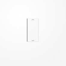 Jung A402TSAPWW Taste 2fach, mit Pfeilsymbolen, F40, Serie A, alpinweiß