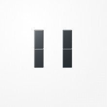 Jung A502TSAANM Tastensatz 2fach, F50, Serie A, anthrazit matt