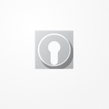 Jung A528PLAL Abdeckung für Schlüsselschalter mit Demontageschutz, Thermoplast lackiert, Serie A, aluminium