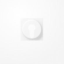 Jung A528PLWWM Abdeckung für Schlüsselschalter mit Demontageschutz, Thermoplast lackiert, Serie A, schneeweiß matt