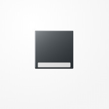 Jung A590BFNAANM Wippe, mit Schriftfeld, Thermoplast lackiert, Serie A, anthrazit matt