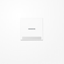 Jung A590BFNAKO5WW Wippe mit Lichtleiter, mit Schriftfeld, Thermoplast, Serie A, alpinweiß