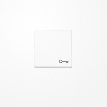 Jung A590BFTWW Wippe, Symbol Tür, Thermoplast, Serie A, alpinweiß