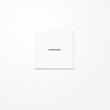 Jung A590KO5WW Wippe mit Lichtleiter, Duroplast, Serie A, alpinweiß