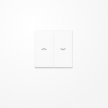 Jung A595PWW Wippe, mit Pfeilsymbolen, Duroplast, Serie A, alpinweiß