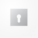 Jung AL2925 Abdeckung für Schlüsselschalter ohne Demontageschutz, Serie LS, Aluminium