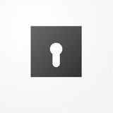 Jung AL2925AN Abdeckung für Schlüsselschalter ohne Demontageschutz, Aluminium lackiert, Serie LS, anthrazit