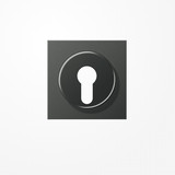 Jung AL2928AN Abdeckung für Schlüsselschalter mit Demontageschutz, Aluminium lackiert, Serie LS, anthrazit