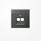 Jung AL2969-2NAUAAN Abdeckung für IAE/UAE-Anschlussdosen, 2x8-polig, mit Schriftfeld, Serie LS, anthrazit (lackiertes Aluminium)