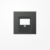 Jung AL2969TAN Abdeckung für TAE-Anschlussdosen 1fach, Aluminium lackiert, Serie LS, anthrazit