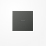 Jung AL2990KO5AN Wippe mit Lichtleiter, Aluminium lackiert, Serie LS, anthrazit